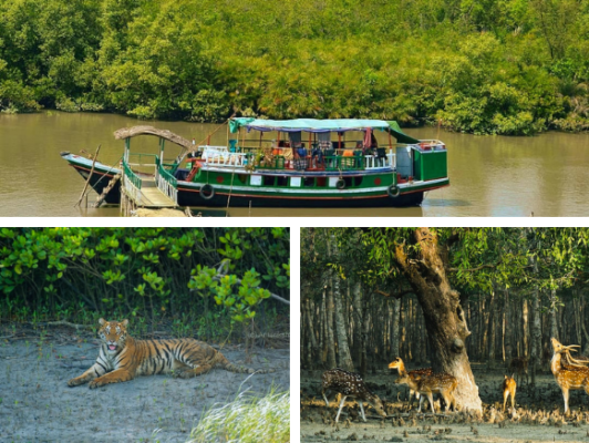 sundarbans